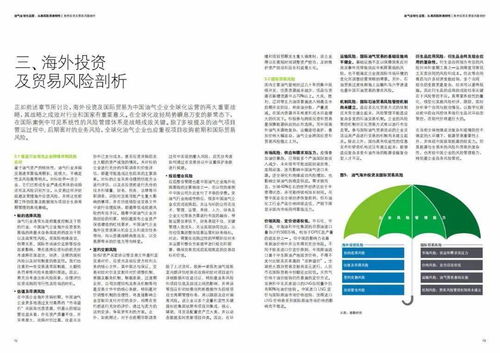 德勤視角 油氣行業(yè)在“十四五”期間海外投資與國際貿(mào)易的風險把控策略