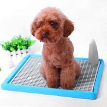 恩澤（日新）寵物日用品廠 專注品質(zhì)，引領(lǐng)寵物日用百貨新風(fēng)尚